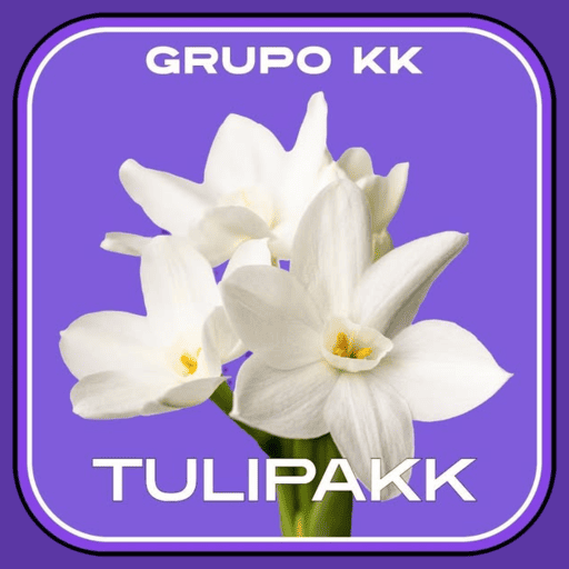 Imagem promocional da TULIPAKK mostrando a plataforma e suas vantagens