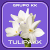 Logo da TULIPAKK